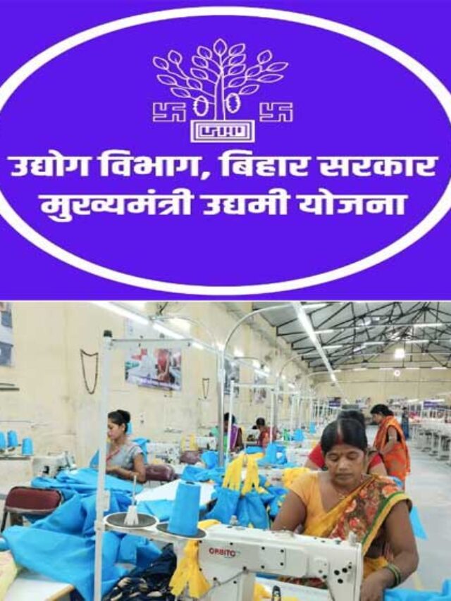 बिहार लघु उद्यमी योजना के बारे में ज़रूरी जानकारी 2024-2025